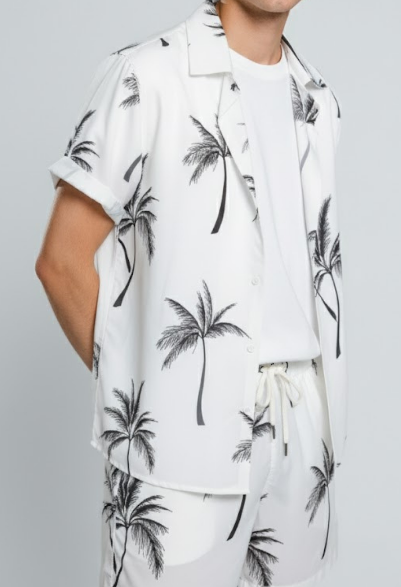 Conjunto Masculino Coqueiro : Camisa + Bermuda 2pcs